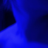 Avatar di Herma_